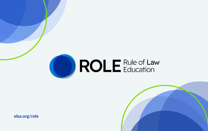 elsa-role